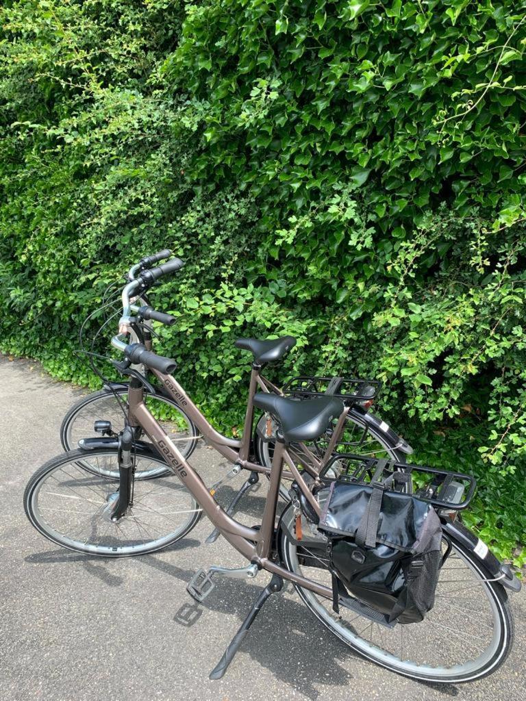 Bed En Bike Texel Alojamento de Acomodação e Pequeno-almoço Den Burg